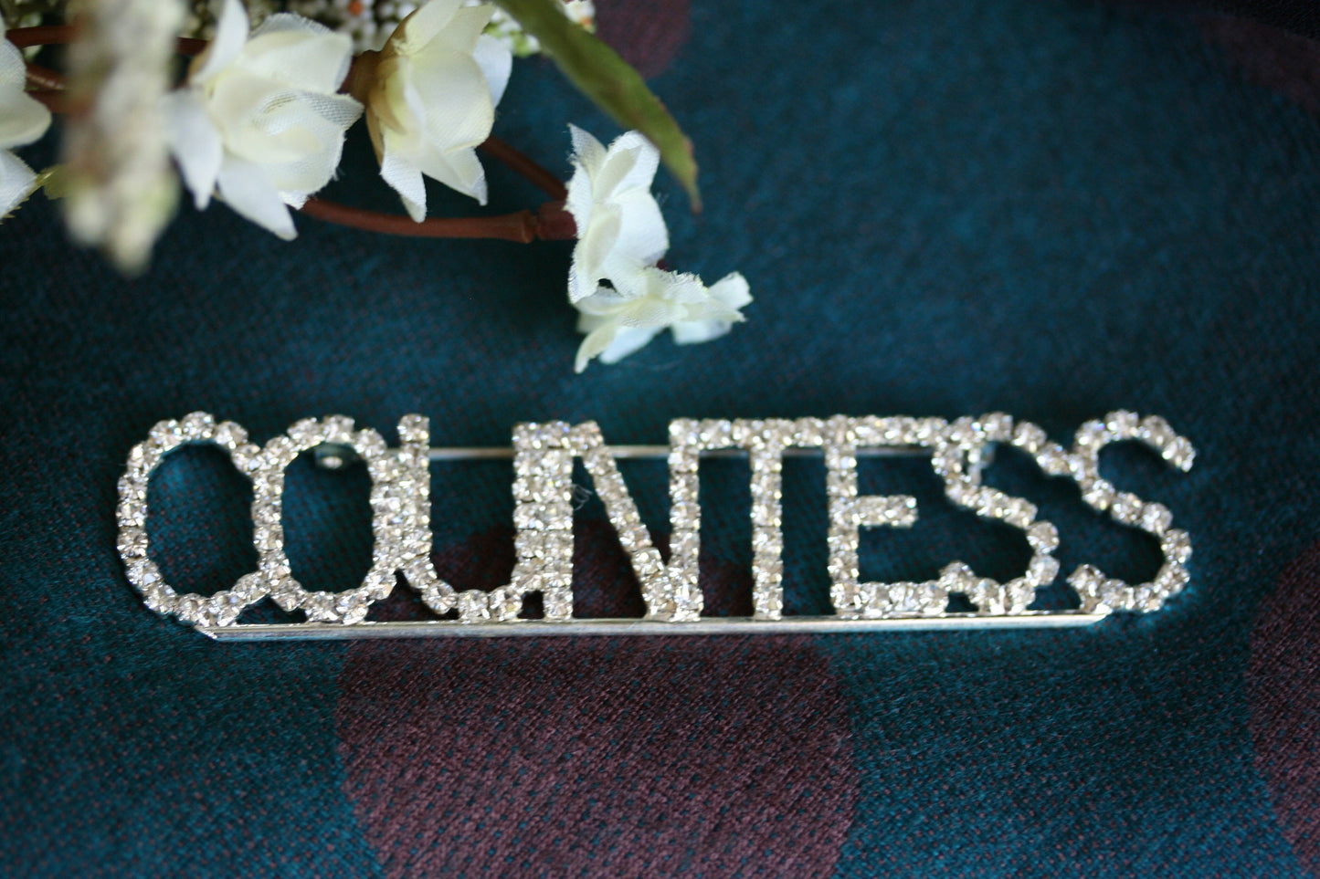 Rhinestone HALLOWEEN Silver COUNTESS LETTERS Pin Brooch