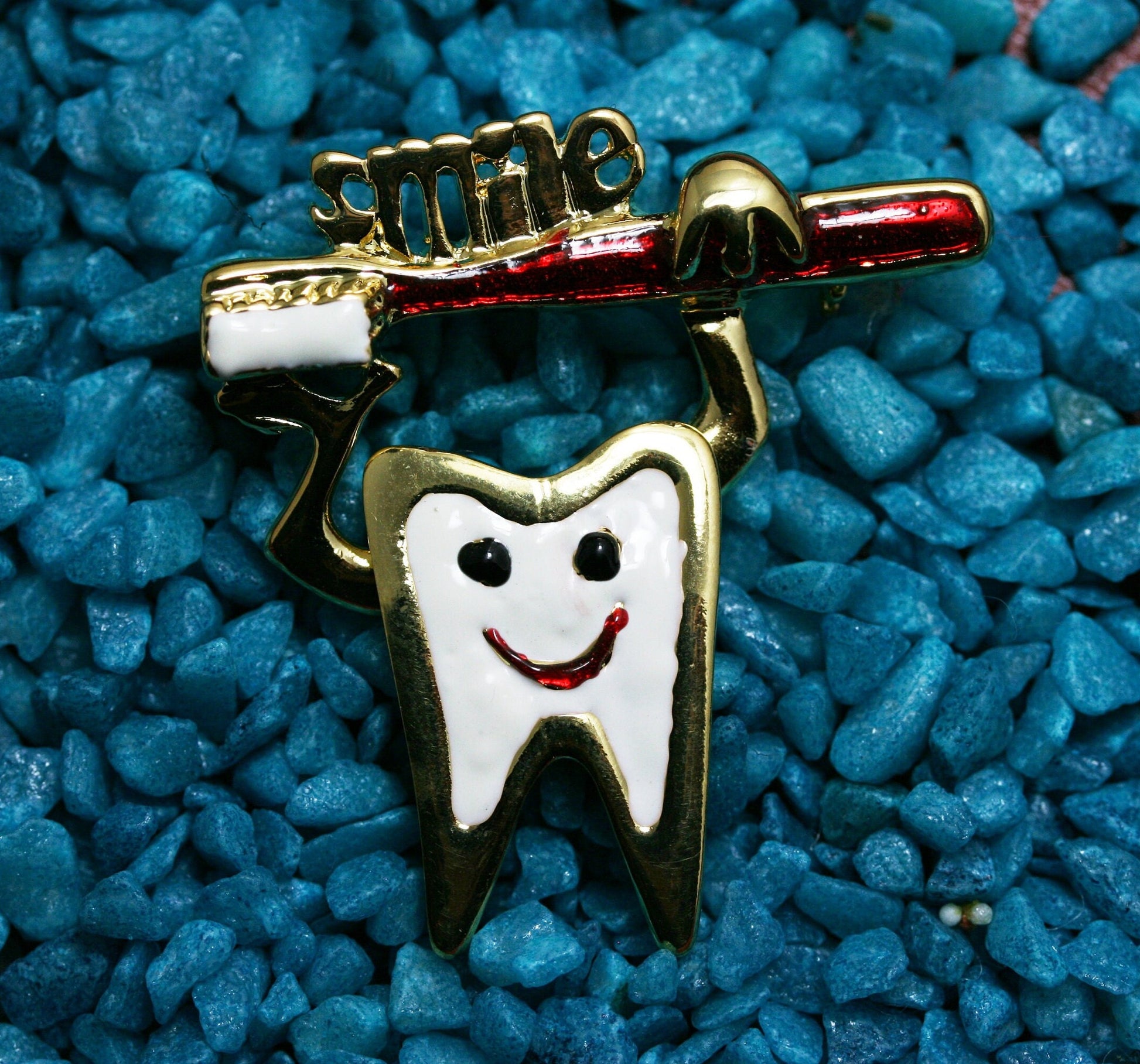 Teeth Tooth Brooch Pins Enamel Health Logo Toothbrush Pin Dentist Badge Brooches